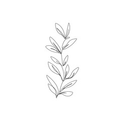 Fototapeta na wymiar Continuous Line Drawing of Leaves Black Sketch Isolated on White Background. Simple Leaf One Line Illustration. Minimalist Botanical Drawing. Vector EPS 10.