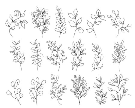 12 399 Best One Line Drawing Flower Images Stock Photos Vectors Adobe Stock 12 399 Best One Line Drawing Flower Images Stock Photos Vectors Adobe Stock