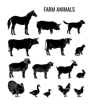 Farm animals silhouettes set of horse, pig, dog, bull, cow, cat, ram, sheep, goat, rabbit, turkey, goose, duck, rooster, chicken. Vector illustration
