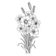 vector drawing bouquet flowers