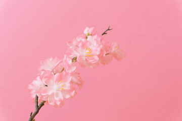 Fototapeta na wymiar Cherry blossom background material. Artificial flowers.　桜の背景素材。造花
