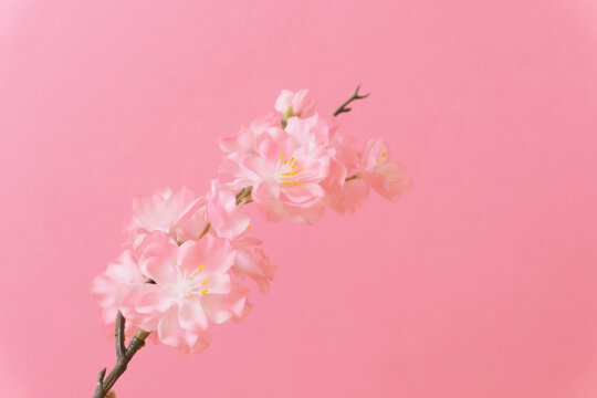 Cherry blossom background material. Artificial flowers.　桜の背景素材。造花
