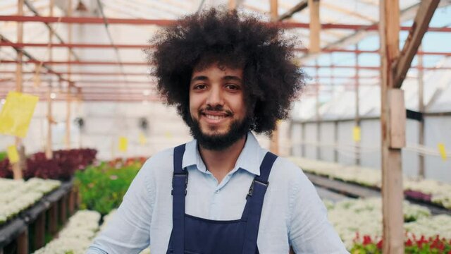 Face of Happy Smiling Handsome Curly Man. Supermarket or Greenhouse Employee. Positive Worker Looking at camera, Satisfied with Good job Successful People. Smiling Face.