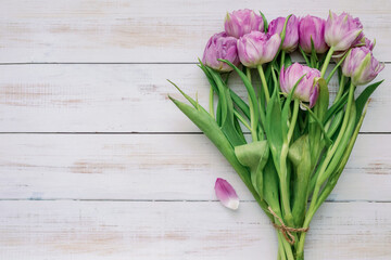Spring flowers. Purple tulips on a white background. Mothers Day.