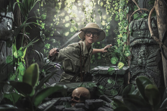 Free Jungle Images – Browse 5,353 Free Stock Photos, Vectors, and Video ...