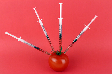 Red tomato with syringes stuck with drugs on a red background. GMO, research, modification