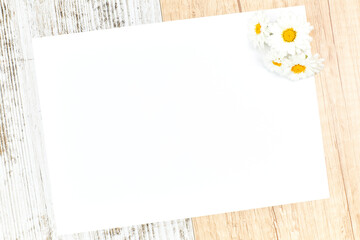 Empty white cards with daisies for invitations. Party concept
