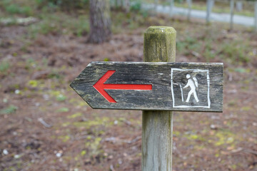wooden arrow pointing the direction of footpath for hike trail in nature reserve forest walk