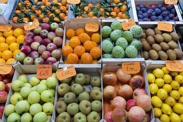 Sets of different fruits displayed on the counter of a greengrocer's shop