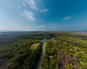 Manglar en Laguna de Términos, Campeche