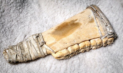Historical bone tool