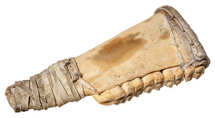 Historical bone tool
