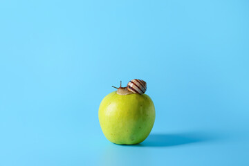 Snail and apple on color background