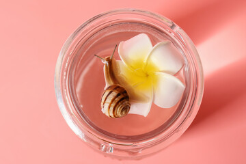 Jar with water, flower and snail on color background