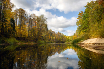 Fototapeta premium autumn in the park
