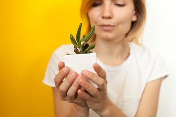 pot with a cactus in female hands. Beautiful young blonde girl with cactus pots in her hands