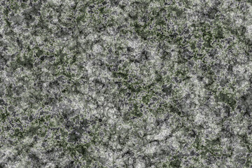 SPECKLED GRANITE TEXTURE