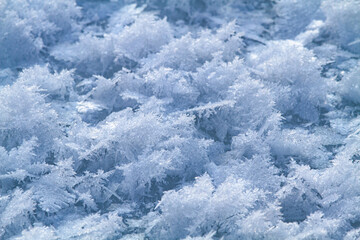 delicate ice crystals on the surface of the ice