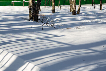Long shadows in a snowy forest - 415722782