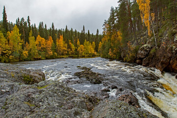 Famous Kiutak&ouml;ng&auml;s rapids at Oulanka Naional Park during autumn foliage. Kuusamo, Northern Finland, Europe