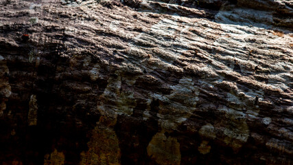 Beautifully patterned wood beams with light