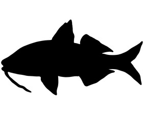 魚のオジサンのシルエット