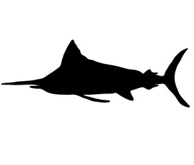 カジキマグロのかっこいいシルエット