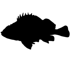 ゴツゴツしたカサゴのシルエット