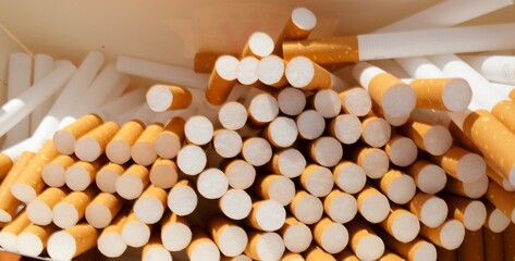 tobacco cigarette tubes inside a box