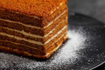 Piece of sweet tasty homemade honey cake. Close up. 