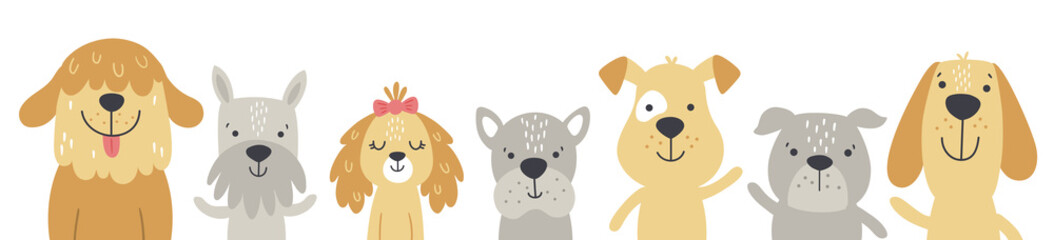puppy heads in a row, white background