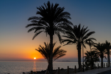 Fototapeta na wymiar sunset over the ocean with palm trees in silhouette and a beachfront sidewalk
