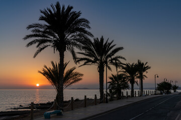Obraz premium sunset over the ocean with palm trees in silhouette and a beachfront sidewalk and oceanfront road