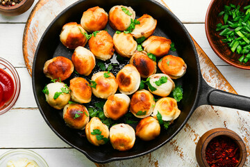 Delicious fried dumplings