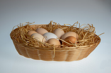Fresh, rural eggs in basket. Free range.