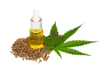  CBD cannabis oil. Hemp oil and  hemp seed isolated on white background. Healthy cannabis oil.