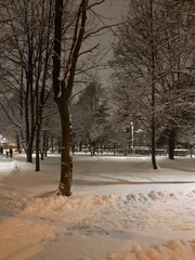 street in winter