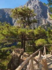 Hiking track in Samaria Gorge on Crete in Greece, Europe
