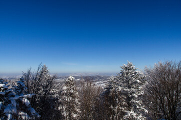 Bieszczady panorama