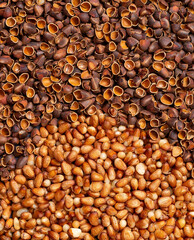 A semicircle of peeled pine nut kernels, the rest of the background is occupied by nut shells. 