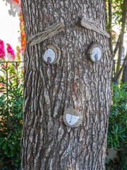 Gardening at the Beach of Mallorca, Spain