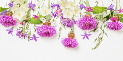 purple summer flowers on white background