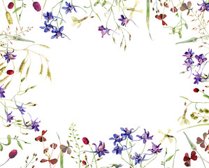 The watercolor frame of wild blue flowers and herbs on white background 