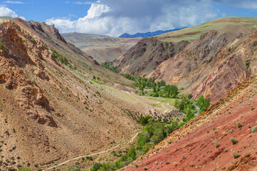 Mountain gorge with dry multicolored slopes and greenery