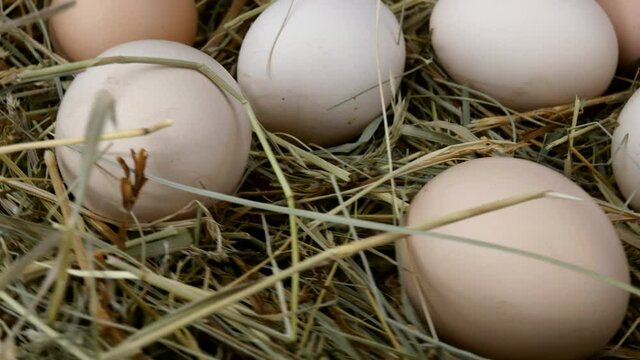 Organic fresh raw chicken eggs lie in hay and rotate clockwise in circle. Close-up.