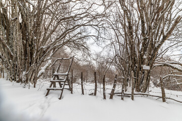Fototapeta premium Monte Fumaiolo with fresh snow, Italy