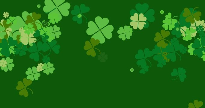 St. Patrick's Day clover flying animation. Four-leafed and three-leafed clover. Horizontal composition, 4k video quality