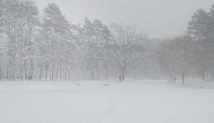 Fototapeta premium Frozen lake in the winter forest in snowfall, figures of people in the background