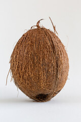 Ripe whole coconut isolated on white, tropical fruit