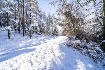 Obraz premium The Hohenwarte Dam is an impressive structure in Thuringia, Germany, built between 1936 and 1942. This curved concrete gravity dam is part of the Hohenwarte Reservoir